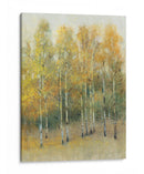Woodland Edge Iv - Tim OToole | Cuadro decorativo de Canvas Lab