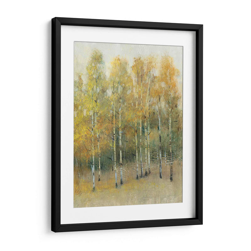 Woodland Edge Iv - Tim OToole | Cuadro decorativo de Canvas Lab