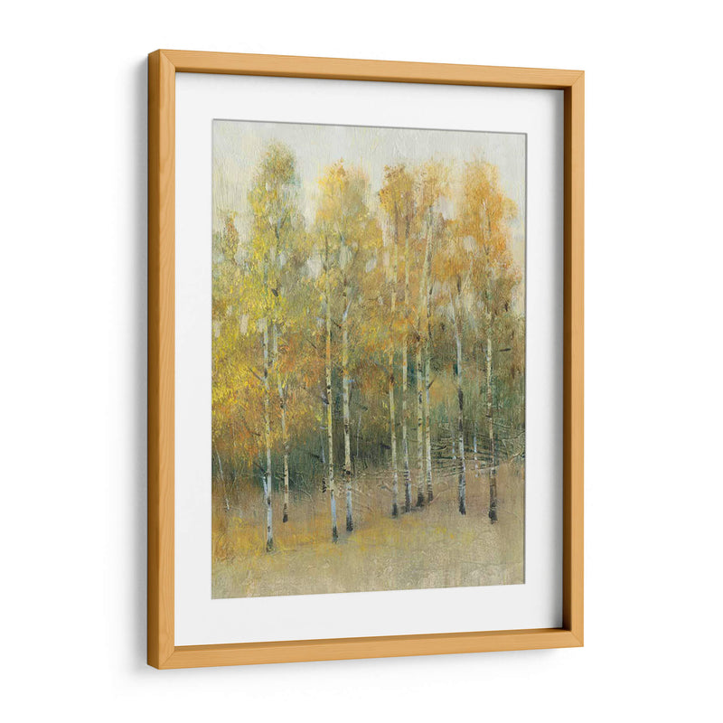 Woodland Edge Iv - Tim OToole | Cuadro decorativo de Canvas Lab