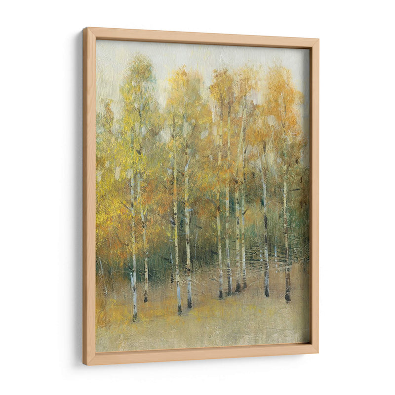 Woodland Edge Iv - Tim OToole | Cuadro decorativo de Canvas Lab