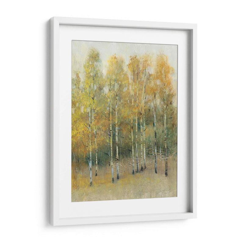 Woodland Edge Iv - Tim OToole | Cuadro decorativo de Canvas Lab