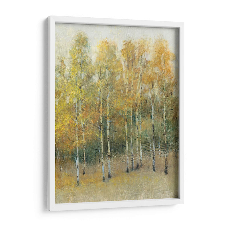 Woodland Edge Iv - Tim OToole | Cuadro decorativo de Canvas Lab