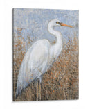 Garza Blanca I - Tim OToole | Cuadro decorativo de Canvas Lab