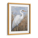 Garza Blanca I - Tim OToole | Cuadro decorativo de Canvas Lab