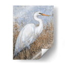 Garza Blanca I - Tim OToole | Cuadro decorativo de Canvas Lab
