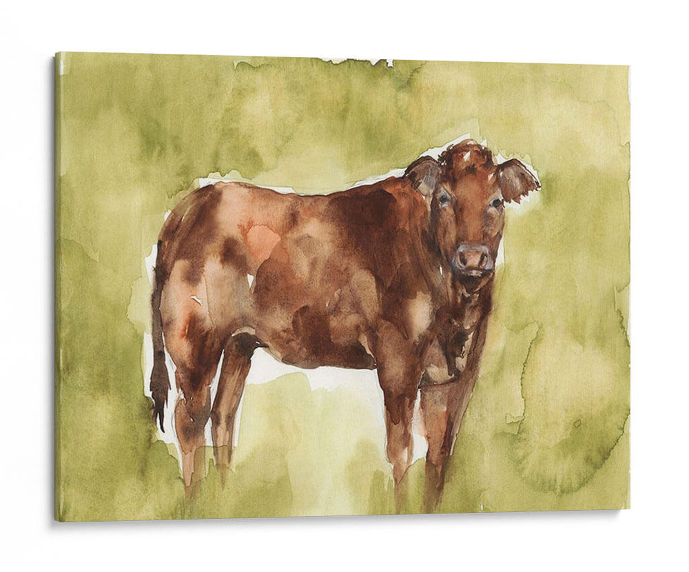 Vaca En El Campo I - Jennifer Goldberger | Cuadro decorativo de Canvas Lab