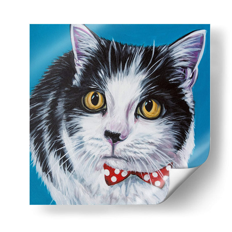 Caty Cat I - Carolee Vitaletti | Cuadro decorativo de Canvas Lab