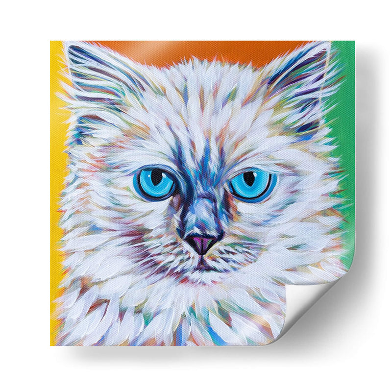 Caty Cat Ii - Carolee Vitaletti | Cuadro decorativo de Canvas Lab