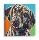 Dachshund Pintado Ii - Carolee Vitaletti | Cuadro decorativo de Canvas Lab