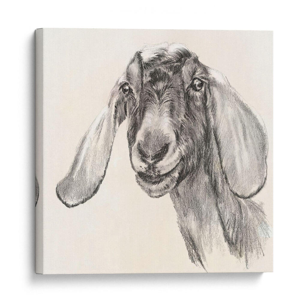 Retrato De Granja I - Jennifer Paxton Parker | Cuadro decorativo de Canvas Lab