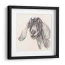 Retrato De Granja I - Jennifer Paxton Parker | Cuadro decorativo de Canvas Lab