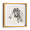 Retrato De Granja I - Jennifer Paxton Parker | Cuadro decorativo de Canvas Lab