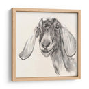Retrato De Granja I - Jennifer Paxton Parker | Cuadro decorativo de Canvas Lab
