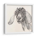 Retrato De Granja I - Jennifer Paxton Parker | Cuadro decorativo de Canvas Lab