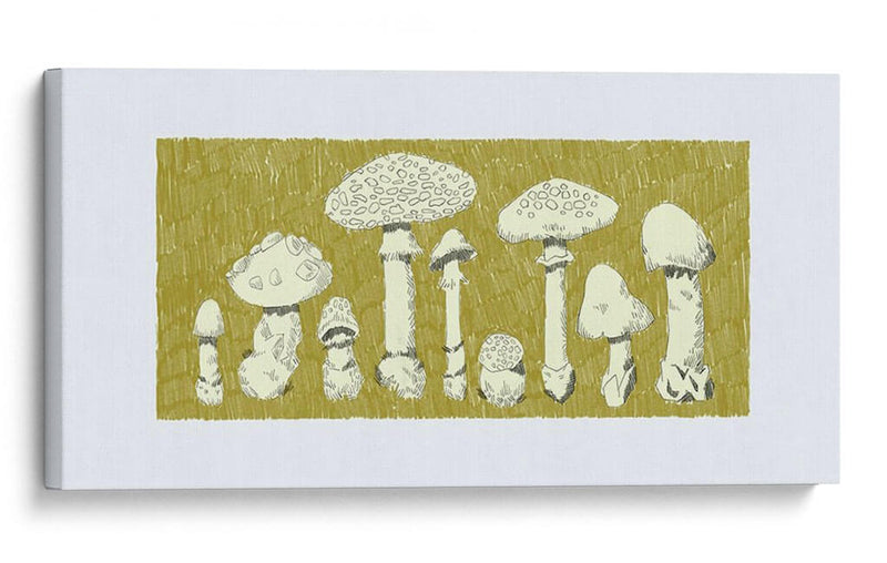 Forest Fungi I - W. Rutledge | Cuadro decorativo de Canvas Lab
