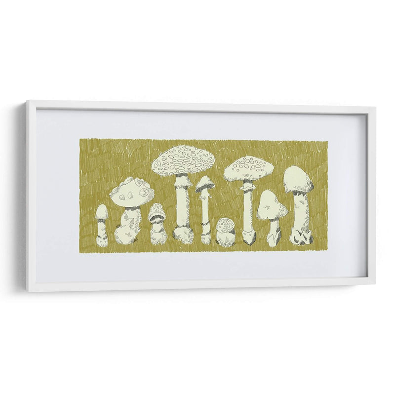 Forest Fungi I - W. Rutledge | Cuadro decorativo de Canvas Lab