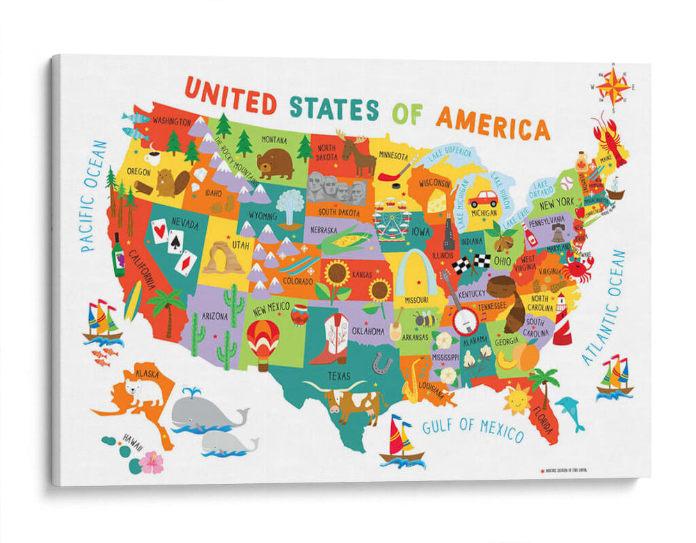 Mapa de Estados Unidos | Cuadro decorativo de Canvas Lab
