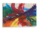 Twisting Rainbow Ii - Jennifer Goldberger | Cuadro decorativo de Canvas Lab