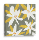 Pétalos Blancos I - Melissa Wang | Cuadro decorativo de Canvas Lab