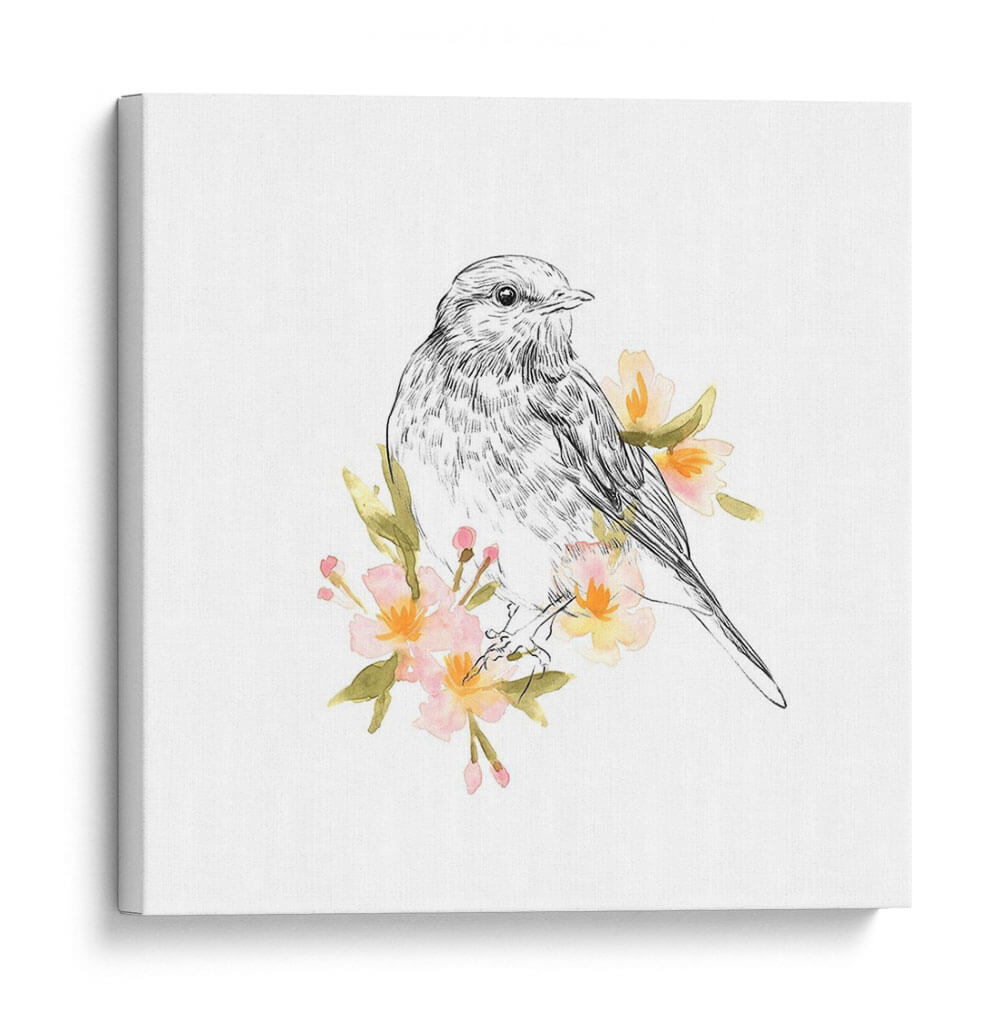 Robin Boceto I - Emma Scarvey | Cuadro decorativo de Canvas Lab
