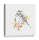 Robin Boceto I - Emma Scarvey | Cuadro decorativo de Canvas Lab