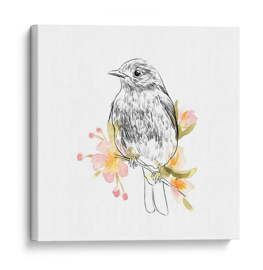 Robin Sketch Ii - Emma Scarvey | Cuadro decorativo de Canvas Lab