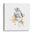 Robin Sketch Ii - Emma Scarvey | Cuadro decorativo de Canvas Lab