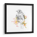 Robin Sketch Ii - Emma Scarvey | Cuadro decorativo de Canvas Lab