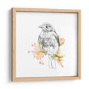 Robin Sketch Ii - Emma Scarvey | Cuadro decorativo de Canvas Lab