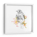 Robin Sketch Ii - Emma Scarvey | Cuadro decorativo de Canvas Lab