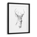 Boceto Joven Buck I - Emma Scarvey | Cuadro decorativo de Canvas Lab