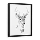 Boceto Joven Buck I - Emma Scarvey | Cuadro decorativo de Canvas Lab