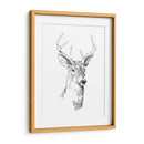 Boceto Joven Buck I - Emma Scarvey | Cuadro decorativo de Canvas Lab