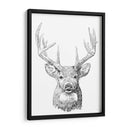 Sketch Ii Joven Buck - Emma Scarvey | Cuadro decorativo de Canvas Lab