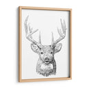 Sketch Ii Joven Buck - Emma Scarvey | Cuadro decorativo de Canvas Lab