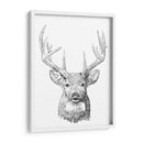 Sketch Ii Joven Buck - Emma Scarvey | Cuadro decorativo de Canvas Lab