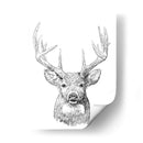 Sketch Ii Joven Buck - Emma Scarvey | Cuadro decorativo de Canvas Lab