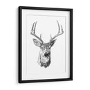 Joven Buck Boceto Iii - Emma Scarvey | Cuadro decorativo de Canvas Lab