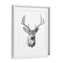 Joven Buck Boceto Iii - Emma Scarvey | Cuadro decorativo de Canvas Lab