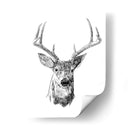 Joven Buck Boceto Iii - Emma Scarvey | Cuadro decorativo de Canvas Lab