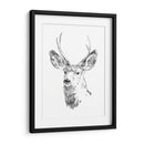 Joven Buck Boceto Iv - Emma Scarvey | Cuadro decorativo de Canvas Lab