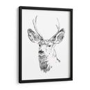 Joven Buck Boceto Iv - Emma Scarvey | Cuadro decorativo de Canvas Lab