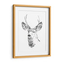 Joven Buck Boceto Iv - Emma Scarvey | Cuadro decorativo de Canvas Lab