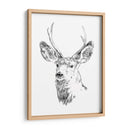 Joven Buck Boceto Iv - Emma Scarvey | Cuadro decorativo de Canvas Lab