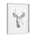 Joven Buck Boceto Iv - Emma Scarvey | Cuadro decorativo de Canvas Lab