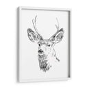 Joven Buck Boceto Iv - Emma Scarvey | Cuadro decorativo de Canvas Lab