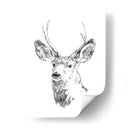 Joven Buck Boceto Iv - Emma Scarvey | Cuadro decorativo de Canvas Lab