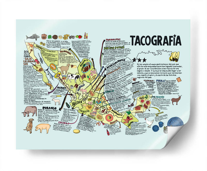 Tacografía | Cuadro decorativo de Canvas Lab