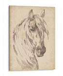 Bosquejo De Retrato De Caballo I - Jennifer Paxton Parker | Cuadro decorativo de Canvas Lab