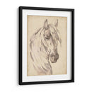 Bosquejo De Retrato De Caballo I - Jennifer Paxton Parker | Cuadro decorativo de Canvas Lab